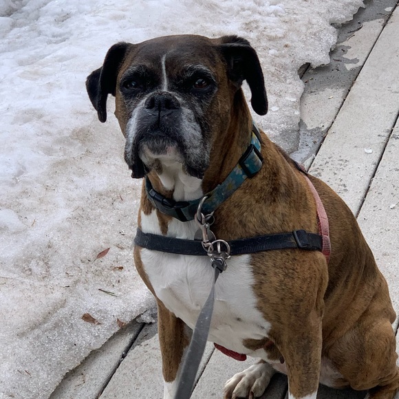 Meet your Posher, Karen - Picture 2 of 2